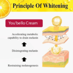 You Bello Skin Whitening Night Cream (Imported)